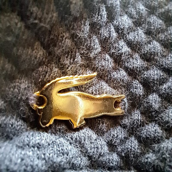 LACOSTE $200 sweater polo TOP Sz 36 or S PREPPY CASUAL CHIC GORPCORE A REAL GEM - Picture 8 of 15